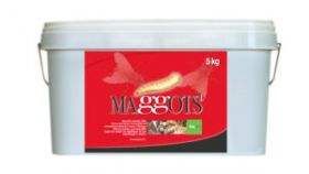 Maggots DE 2% 15kg.