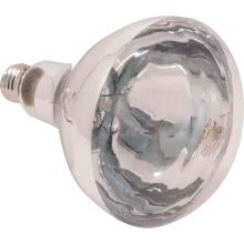 Lamp 150 Watt Wit (22243)