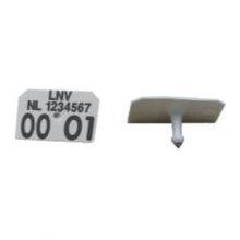 Allflex SWM MD wit LNV bedr. p/100