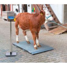 Plattformwaage PS 2000 bis 1000 kg