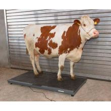 Plateauweegschaal PS 3000 tot 1500 kg