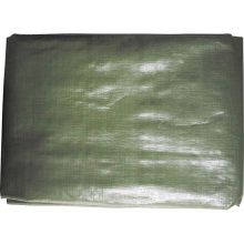 PE dekzeil 210g/m² 6 m x 8 m groen
